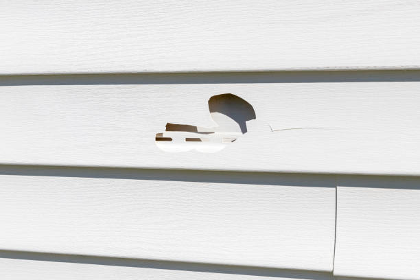 Professional Siding Installation & Repair in Davis, OK